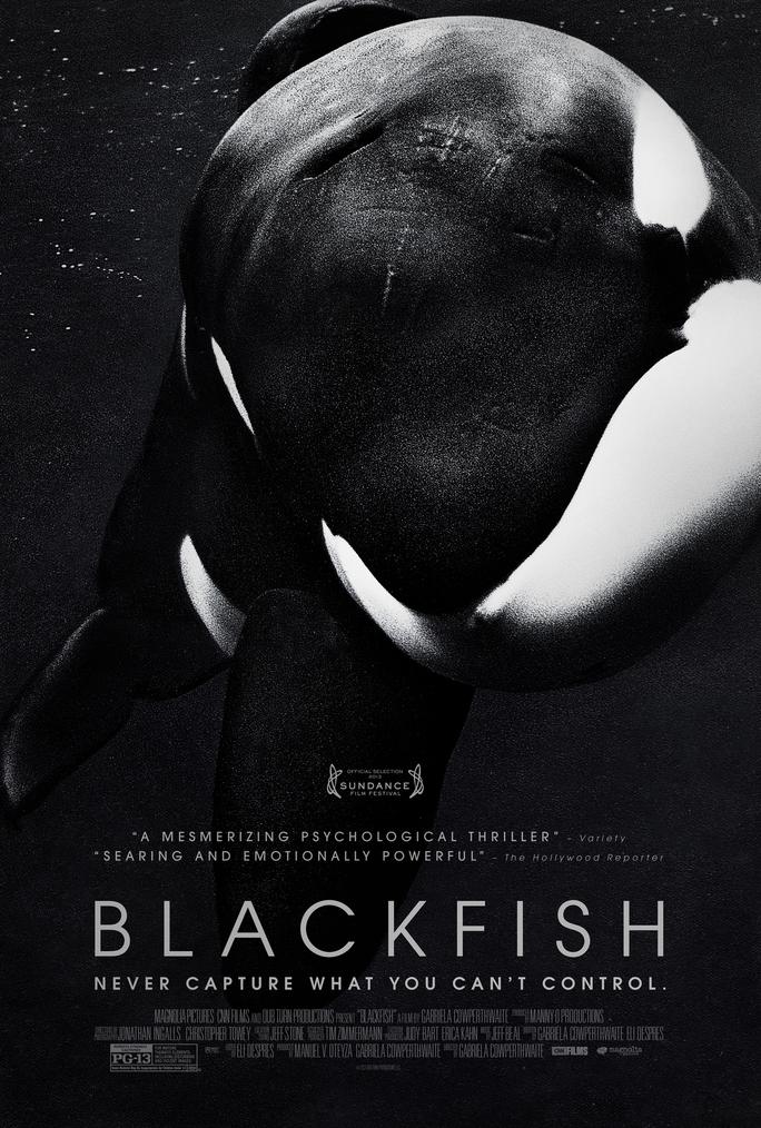 Cá đen - Blackfish (2013)